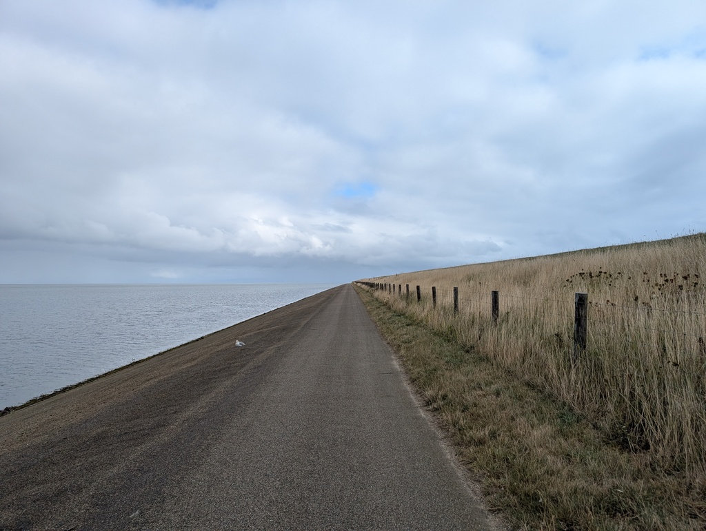 Gallery day2 088.jpg