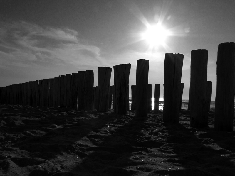 Gallery img 1499bw.jpg